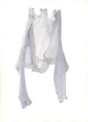 Gestreept Blauw Shirt in de Wind